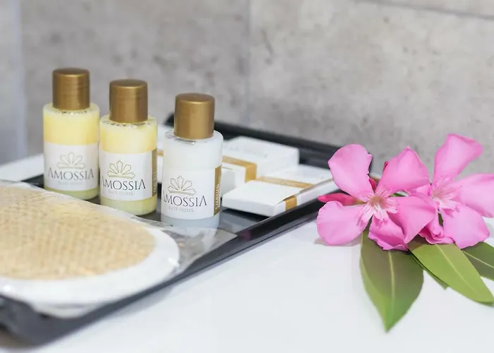 Amossia Elite Boutique 2* Turunc