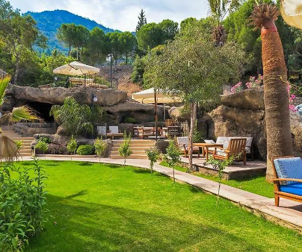 Amossia Elite Boutique